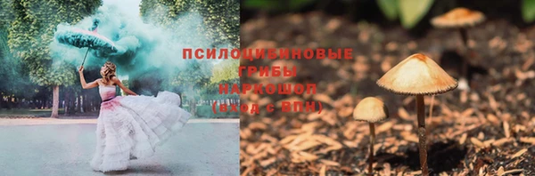 МДПВ Бородино