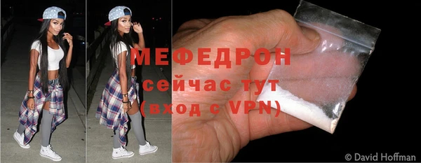 МДПВ Бородино
