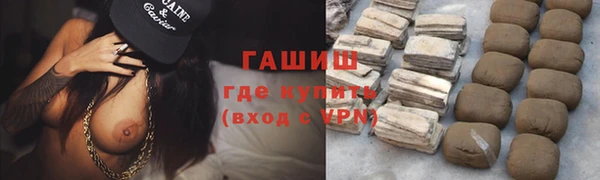 МДПВ Бородино