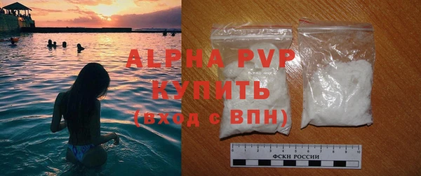 МДПВ Бородино