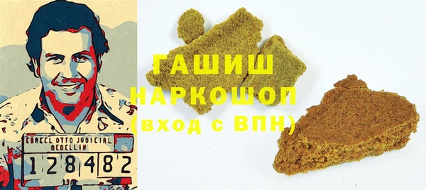 МДПВ Бородино