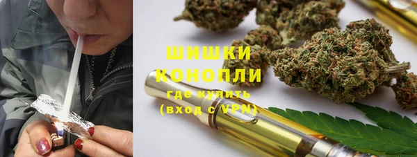 МДПВ Бородино