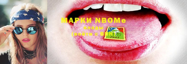 МДПВ Бородино