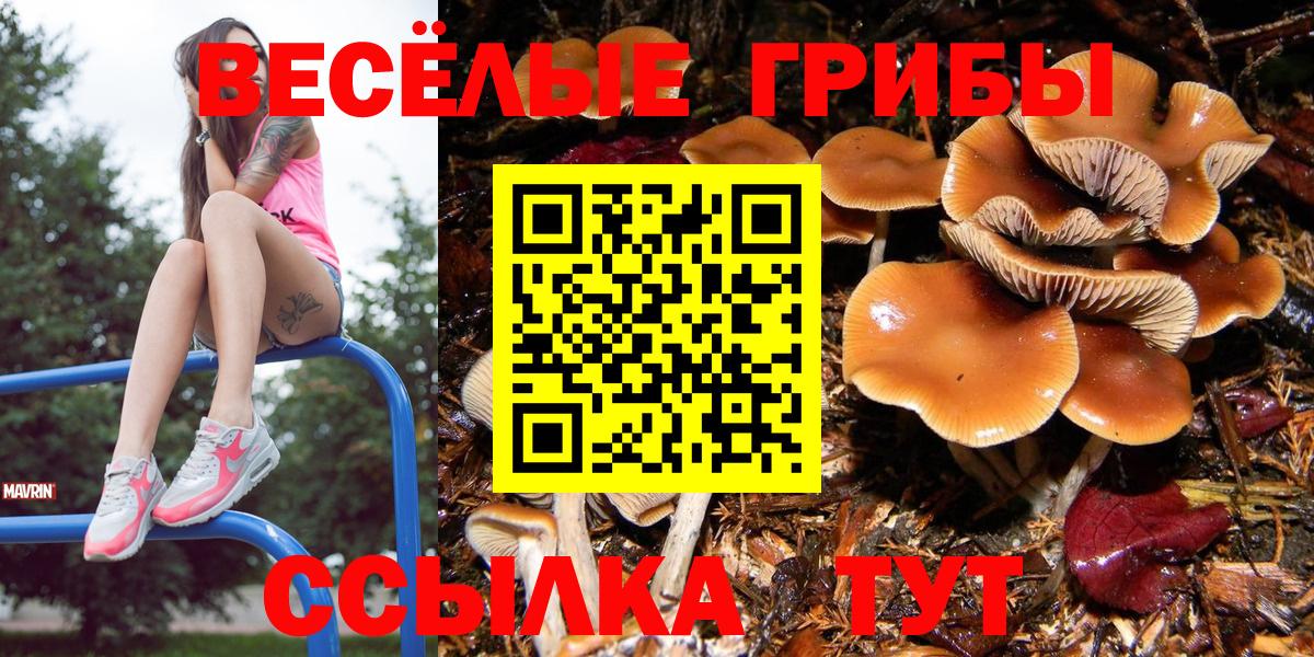 Азов  Псилоцибиновые грибы мицелий  Вход с VPN 