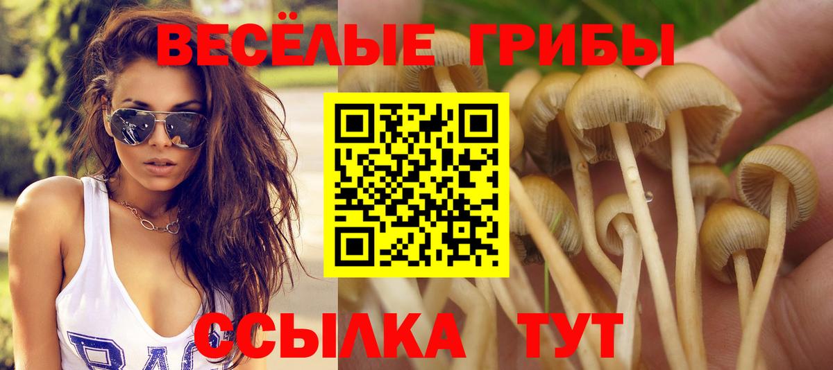Псилоцибиновые грибы прущие грибы  Азов 